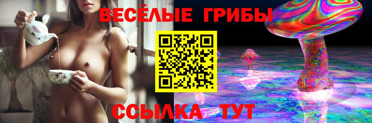 КОКАИН  Гашиш  APVP СОЛЬ   Метадон  Бирск  ТГК  МЕФ кристаллы  Вход с VPN  Конопля 